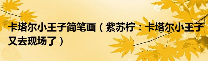 卡塔尔小王子简笔画（紫苏柠：卡塔尔小王子又去现场了）
