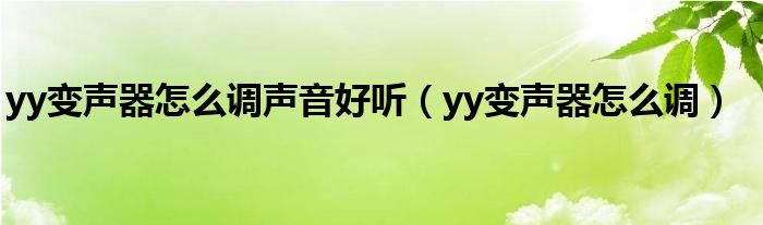 yy变声器怎么调声音好听（yy变声器怎么调）