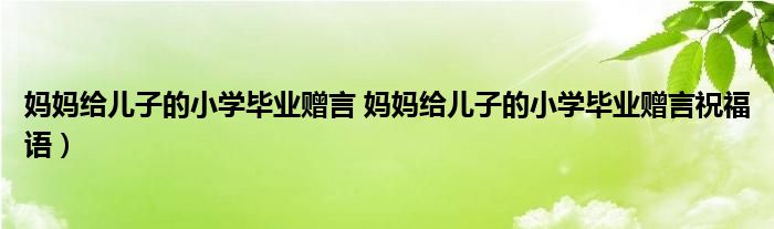 妈妈给儿子的小学毕业赠言 妈妈给儿子的小学毕业赠言祝福语）