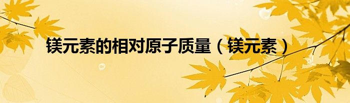 镁元素的相对原子质量（镁元素）