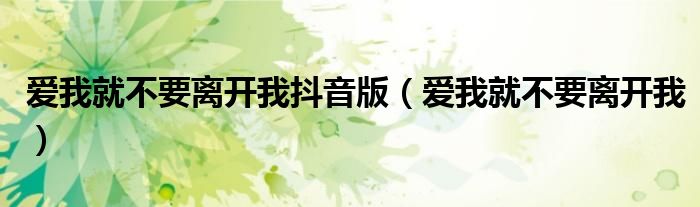 爱我就不要离开我抖音版（爱我就不要离开我）