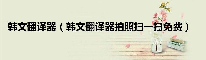 韩文翻译器（韩文翻译器拍照扫一扫免费）