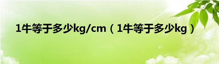 1牛等于多少kg/cm（1牛等于多少kg）
