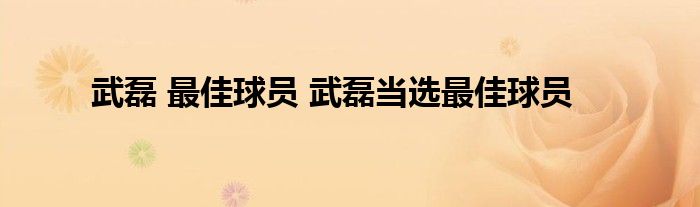 武磊 最佳球员 武磊当选最佳球员
