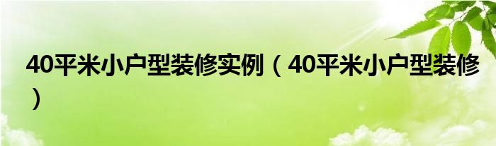 40平米小户型装修实例（40平米小户型装修）