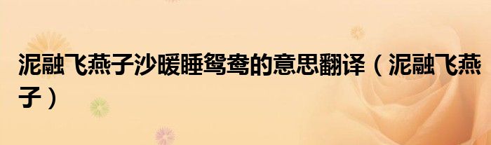 泥融飞燕子沙暖睡鸳鸯的意思翻译（泥融飞燕子）