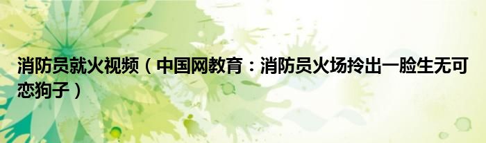 消防员就火视频（中国网教育：消防员火场拎出一脸生无可恋狗子）