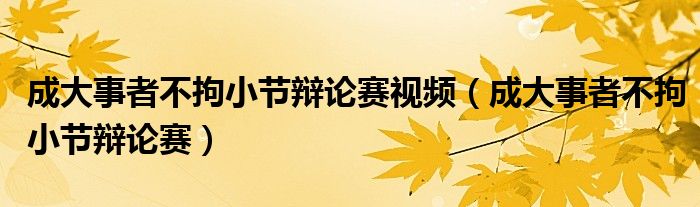 成大事者不拘小节辩论赛视频（成大事者不拘小节辩论赛）