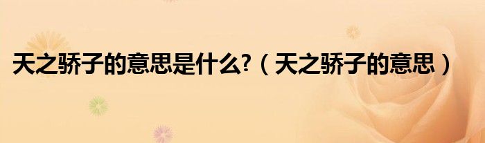 天之骄子的意思是什么?（天之骄子的意思）