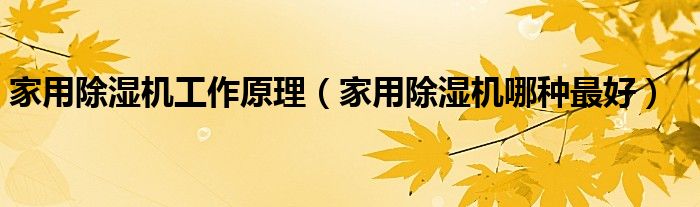 家用除湿机工作原理（家用除湿机哪种最好）