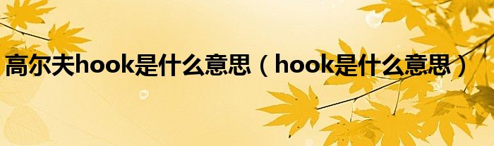 高尔夫hook是什么意思（hook是什么意思）
