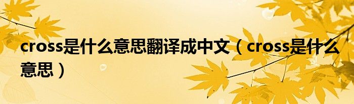 cross是什么意思翻译成中文（cross是什么意思）