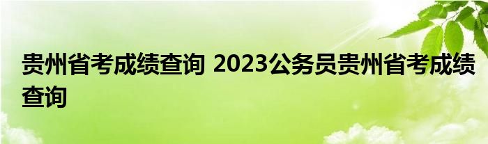贵州省考成绩查询 2023公务员贵州省考成绩查询