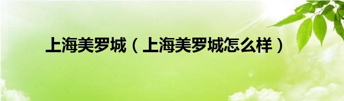 上海美罗城（上海美罗城怎么样）