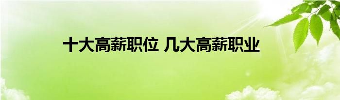 十大高薪职位 几大高薪职业