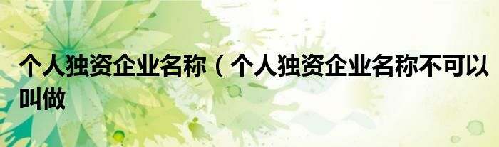 个人独资企业名称（个人独资企业名称不可以叫做