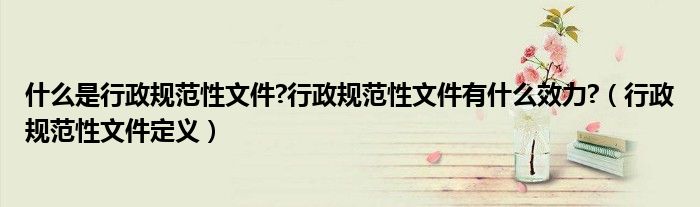 什么是行政规范性文件?行政规范性文件有什么效力?（行政规范性文件定义）