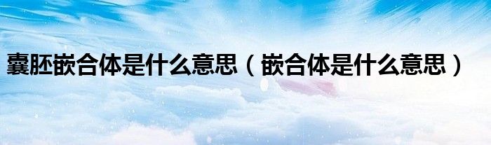囊胚嵌合体是什么意思（嵌合体是什么意思）