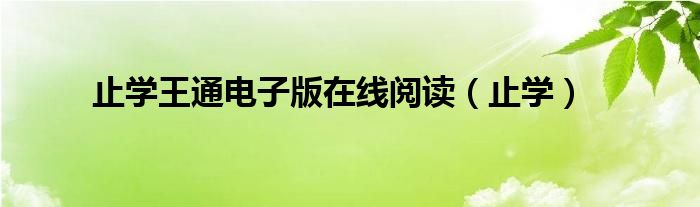 止学王通电子版在线阅读（止学）