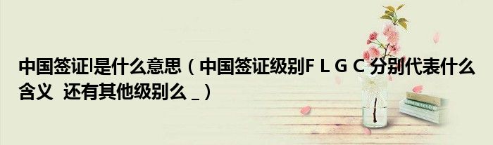 中国签证l是什么意思（中国签证级别F L G C 分别代表什么含义  还有其他级别么 _）