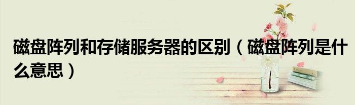 磁盘阵列和存储服务器的区别（磁盘阵列是什么意思）