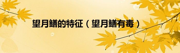 望月鳝的特征（望月鳝有毒）