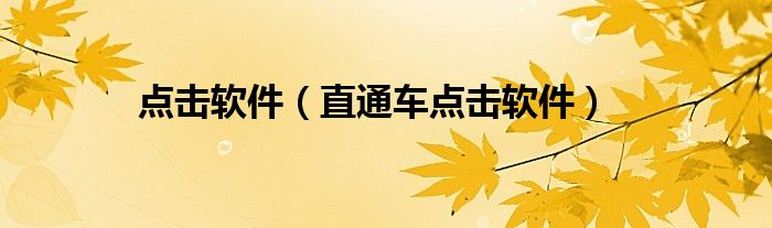 点击软件（直通车点击软件）