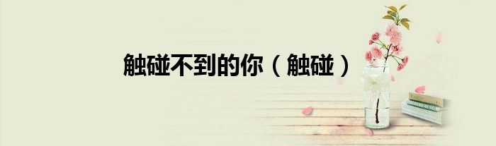 触碰不到的你（触碰）