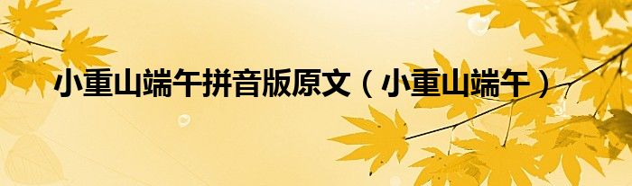 小重山端午拼音版原文（小重山端午）