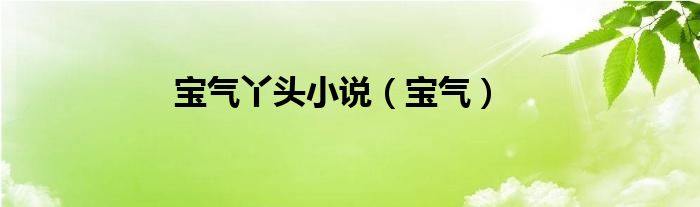 宝气丫头小说（宝气）