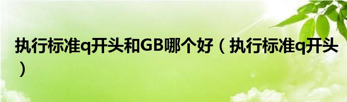 执行标准q开头和GB哪个好（执行标准q开头）