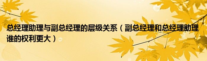 总经理助理与副总经理的层级关系（副总经理和总经理助理 谁的权利更大）