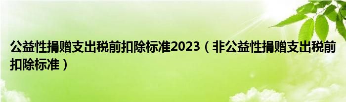 公益性捐赠支出税前扣除标准2023（非公益性捐赠支出税前扣除标准）