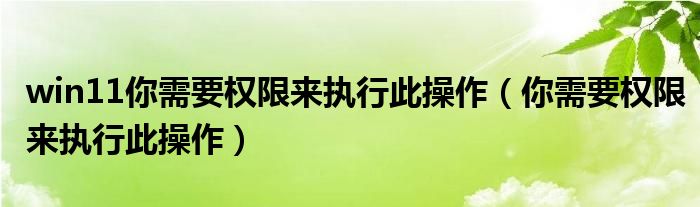win11你需要权限来执行此操作（你需要权限来执行此操作）