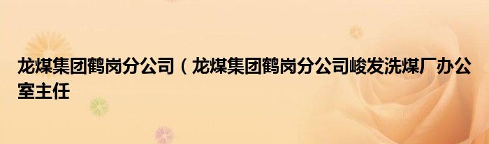 龙煤集团鹤岗分公司（龙煤集团鹤岗分公司峻发洗煤厂办公室主任