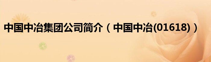 中国中冶集团公司简介（中国中冶(01618)）