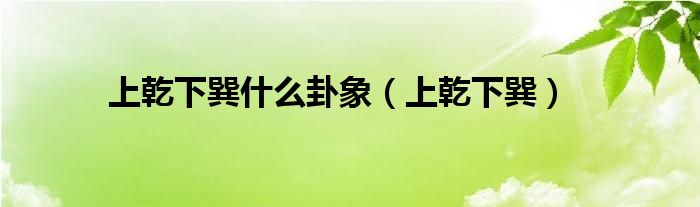上乾下巽什么卦象（上乾下巽）