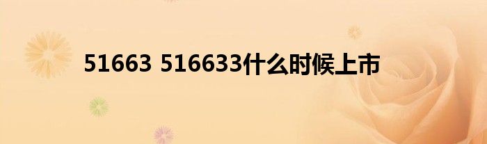 51663 516633什么时候上市