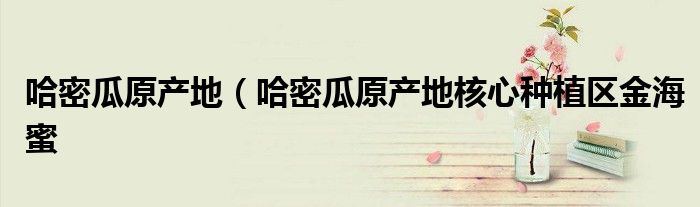 哈密瓜原产地（哈密瓜原产地核心种植区金海蜜