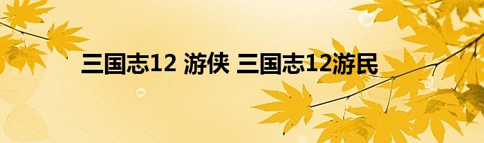 三国志12 游侠 三国志12游民