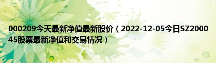 000209今天最新净值最新股价（2022-12-05今日SZ200045股票最新净值和交易情况）