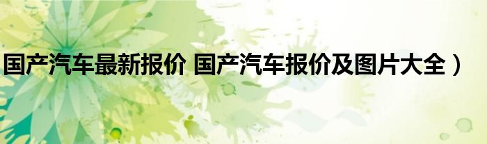 国产汽车最新报价 国产汽车报价及图片大全）