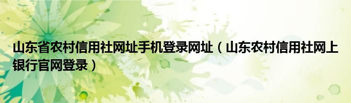 山东省农村信用社网址手机登录网址（山东农村信用社网上银行官网登录）