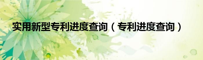 实用新型专利进度查询（专利进度查询）