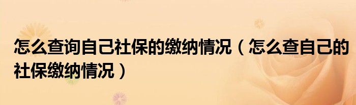 怎么查询自己社保的缴纳情况（怎么查自己的社保缴纳情况）