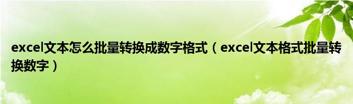 excel文本怎么批量转换成数字格式（excel文本格式批量转换数字）