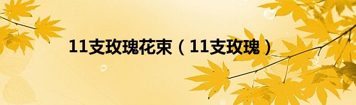 11支玫瑰花束（11支玫瑰）