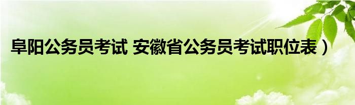 阜阳公务员考试 安徽省公务员考试职位表）