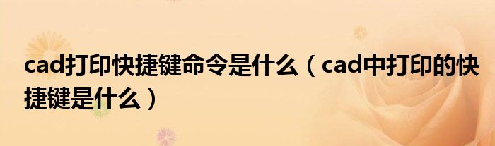 cad打印快捷键命令是什么（cad中打印的快捷键是什么）