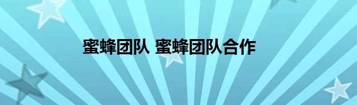 蜜蜂团队 蜜蜂团队合作